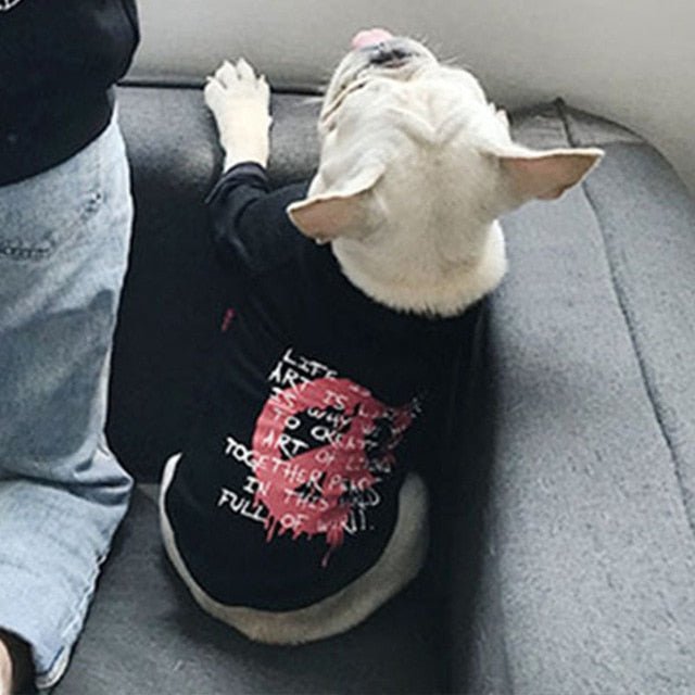WrinkleAndWag